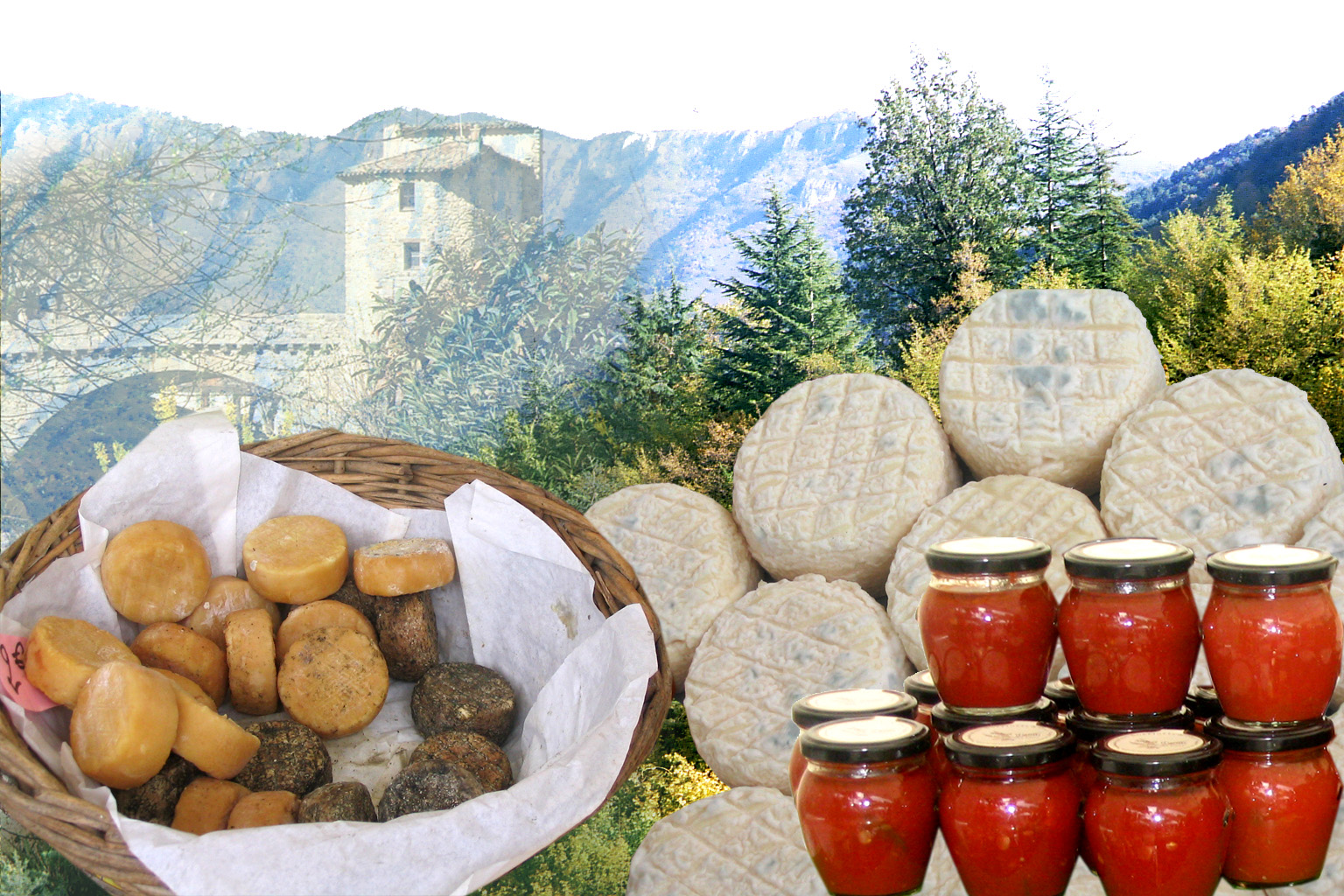 Festival de saveurs
